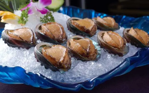 鲍鱼冷冻一年多了还能吃吗 冷冻一年多的鲍鱼吃了没事吗