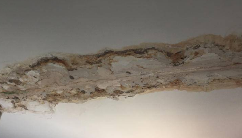 房屋5年后外墙漏水找谁处理 房屋5年后漏水室内物业负责维修吗