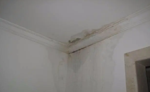 房屋5年后外墙漏水找谁处理 房屋5年后漏水室内物业负责维修吗