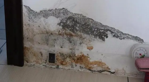 房屋5年后漏水室内物业负责维修吗