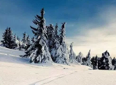 2023大寒是不是三九的第一天 2023年大寒是几九 2023大寒是不是三九的第一天 2023年大寒是几九