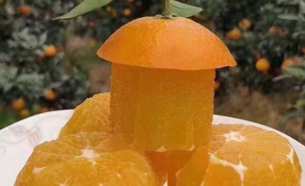 脐橙汁水多吗 脐橙哪里的好吃