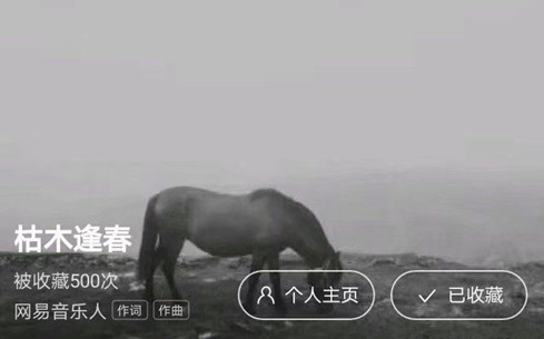 枯木逢春民谣歌手个人资料 枯木逢春和隔壁老樊一个人吗