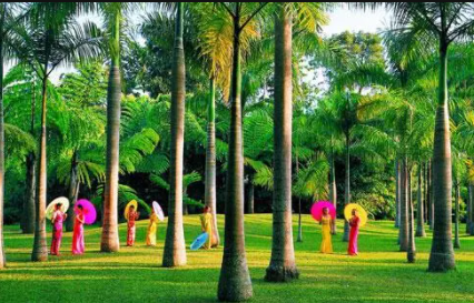 2023冬天去西双版纳冷吗 冬天去西双版纳好不好