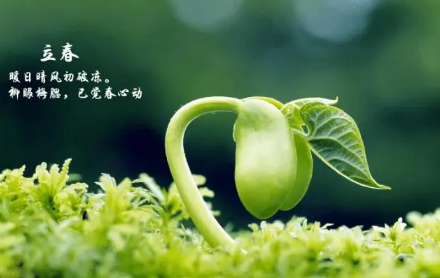 2023立春之后还要冷多久才能到春天 立春之后气温会不会回升 2023立春之后还要冷多久才能到春天 立春之后气温会不会回升