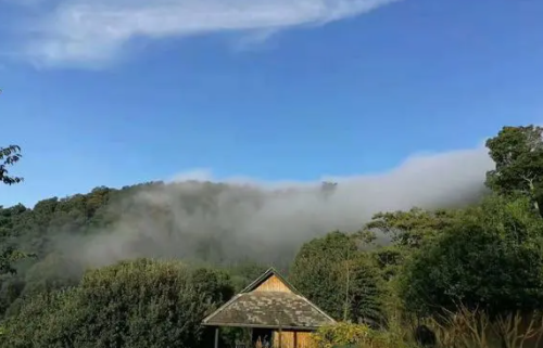 2023冬天去西双版纳冷吗 冬天去西双版纳好不好