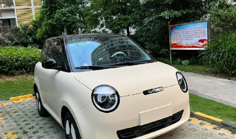 高纬度地区买新能源合适吗 新能源在哪些城市发展比较好