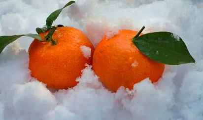 2023大寒前上坟还是大寒后上坟 大寒可以提前多久上坟