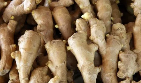 只需一片姜排出4斤宿便真的假的 为什么喝生姜水会排便