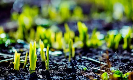 2023年两个二月会冷吗 2023年两个二月天气有什么变化