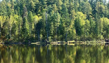 2023年夏季气温比往年是高还是低 2023年夏天会不会更热 2023年夏季气温比往年是高还是低 2023年夏天会不会更热