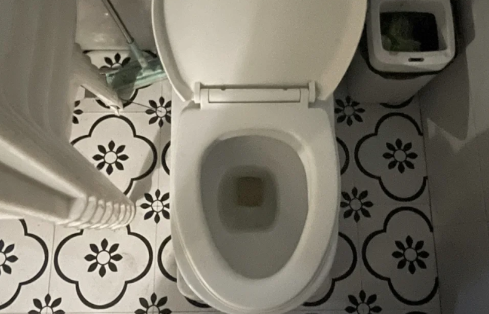 大便后擦屁股纸上有血是咋回事 大便后擦屁股纸上有血是上火了吗