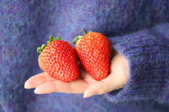 吃草莓前如何清洗草莓 草莓吃之前怎样洗才干净