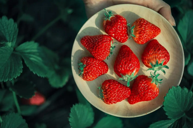 冬天草莓怎么加热好吃 冬天草莓太凉怎么吃好