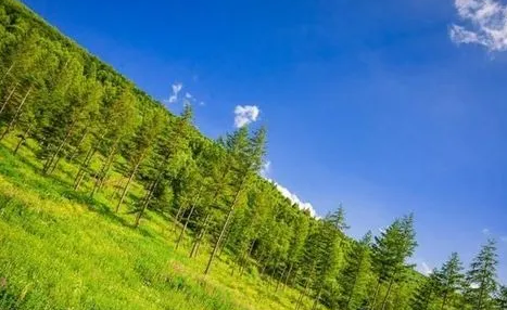 2023年夏季气温比往年是高还是低 2023年夏天会不会更热 2023年夏季气温比往年是高还是低 2023年夏天会不会更热