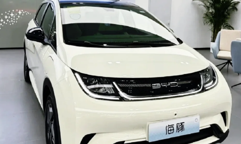 比亚迪新能源补贴8000多久到账（比亚迪新能源补贴2023年多少钱）