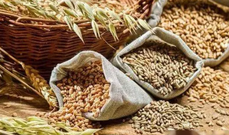 2023年是饥饿年吗 2023年需要屯粮食吗