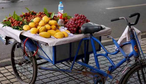 2023年关将近卖什么水果好 过年卖啥成本低赚钱快