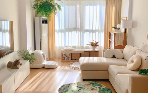 未来房子会慢慢贬值吗 年轻人已经彻底不买房了怎么办