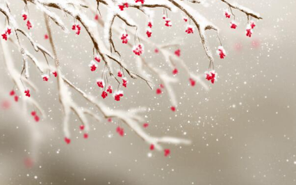 倒春寒年份夏季热吗2023 2023年会有倒春寒天气吗