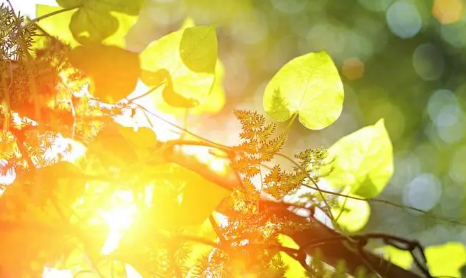 现在凌晨四点天亮了吗(什么时候开始天亮的早) 现在凌晨四点天亮了吗(什么时候开始天亮的早)