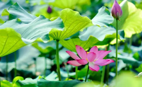 2023年夏天几月份开始热起来（夏天从几月份开始算起）