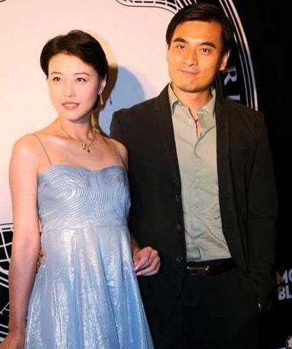 周海媚吕良伟为何分手（盘点周海媚的8段揪心恋情）