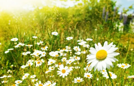 今年夏天最温度能够达到50℃吗2023（今年夏天最高温度能达到多少度）