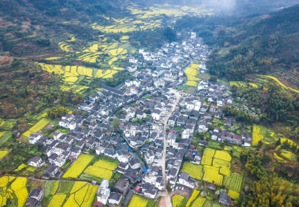 婺源油菜花2月底开了吗2023（婺源油菜花最佳观赏时间是什么时候）