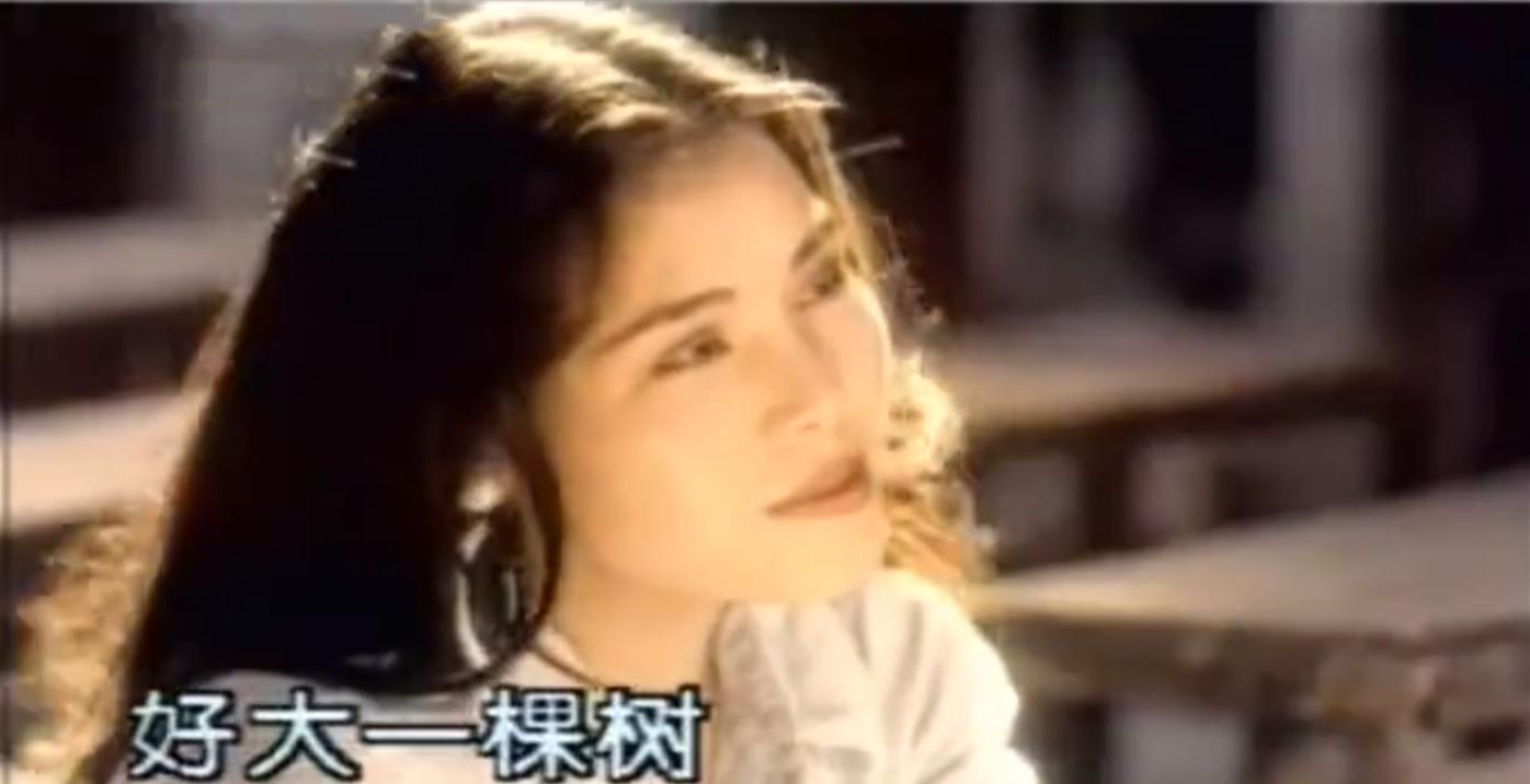 月亮之上抄的哪首歌（死不承认的华语乐坛10大抄袭事件）