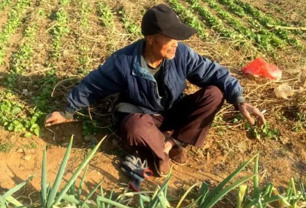 2023春分开始耕种了吗(春耕季节是什么节气) 2023春分开始耕种了吗(春耕季节是什么节气)