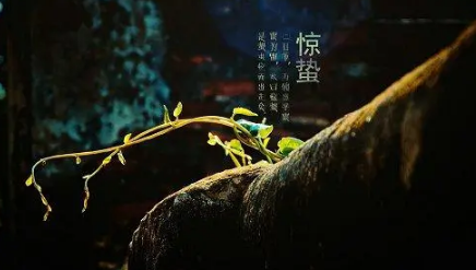 2023惊蛰可以迁坟吗（2023年惊蛰前可以立碑吗）