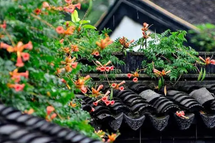 2023年3月份是梅雨季节吗