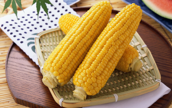 2023年春天玉米会涨价吗（2023年春天玉米行情将如何）