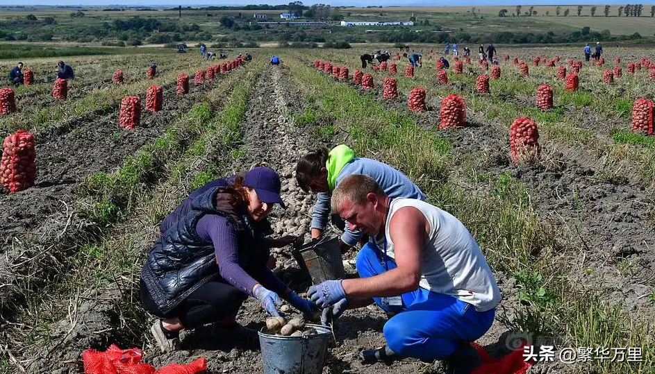 一万卢布等于多少人民币2022（俄罗斯人民平均工资）