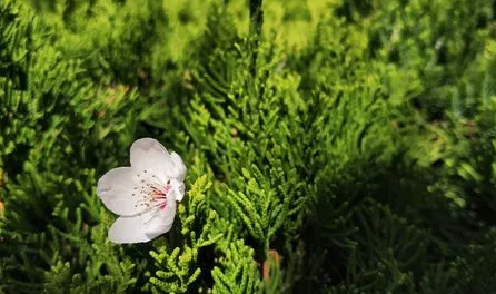 2023年南京几月开始暖和