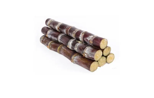 甘蔗可以煮着吃吗(甘蔗煮着吃有什么功效) 甘蔗可以煮着吃吗(甘蔗煮着吃有什么功效)