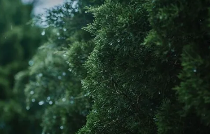 2023湖南省几月份是雨季