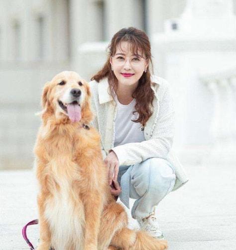 周海媚吕良伟为何分手（盘点周海媚的8段揪心恋情）