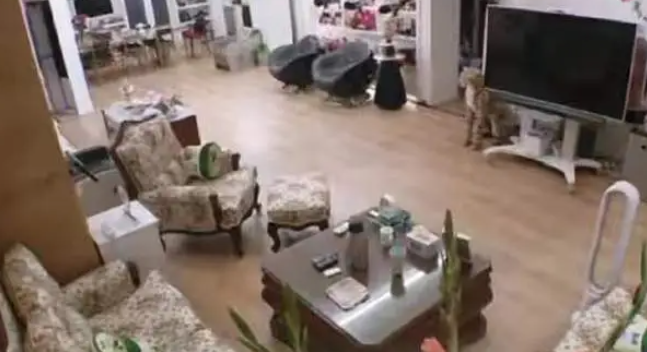 李晨的家世到底有多强大,李晨的家事身价 李晨的家世到底有多强大,李晨的家事身价