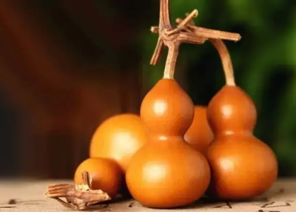 葫芦为啥不能系红绳