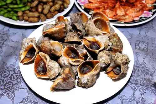 蒸海螺冷水蒸还是上汽蒸（蒸海螺是等上汽放海螺吗）