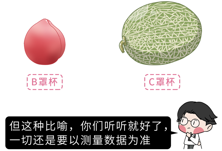 女性ABCDE罩杯到底是多大（用手让你测出女朋友罩杯尺寸）