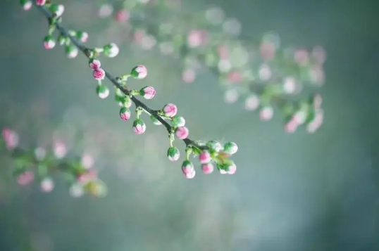 2023年闰二月有28天还是29天(2023年闰二月为什么只有28天) 2023年闰二月有28天还是29天(2023年闰二月为什么只有28天)