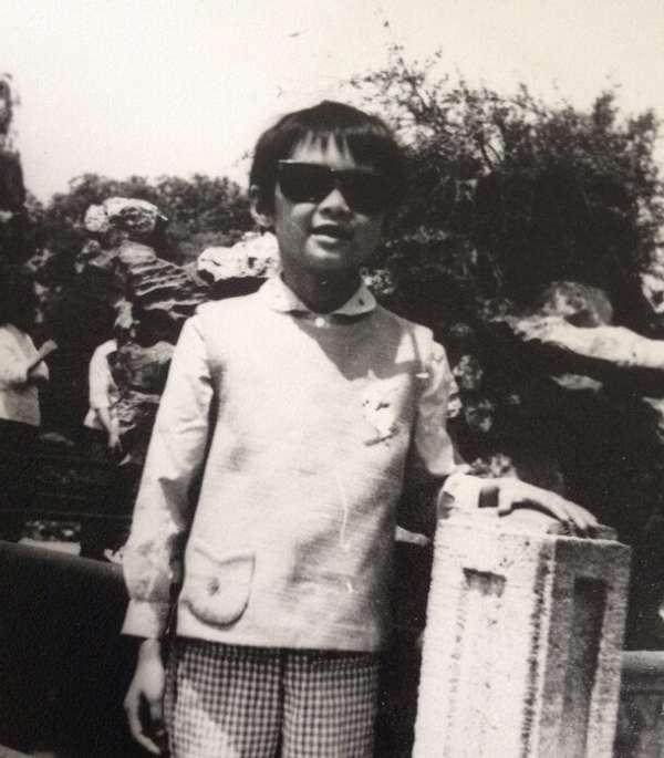 袁立事件是怎么回事（袁立张国立事件原因）