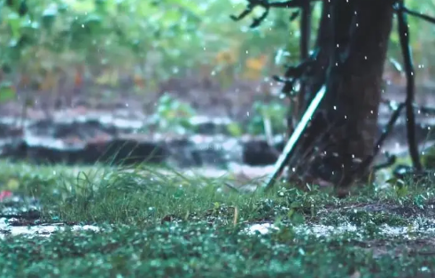 今年雨季会比往年来的晚吗2023