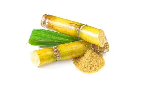 甘蔗可以煮着吃吗(甘蔗煮着吃有什么功效) 甘蔗可以煮着吃吗(甘蔗煮着吃有什么功效)