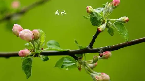 2023雨水节气还冷吗（雨水节气过后还会冷多久）