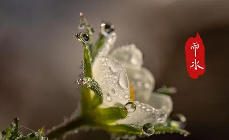 2023年雨水节气具体时间几点几分（2023年雨水节气是哪一天）