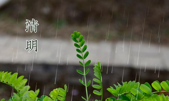 2023年清明节过路费免费吗？